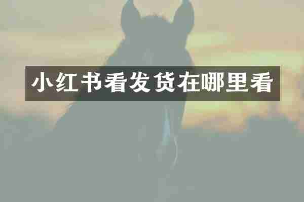 小红书看发货在哪里看