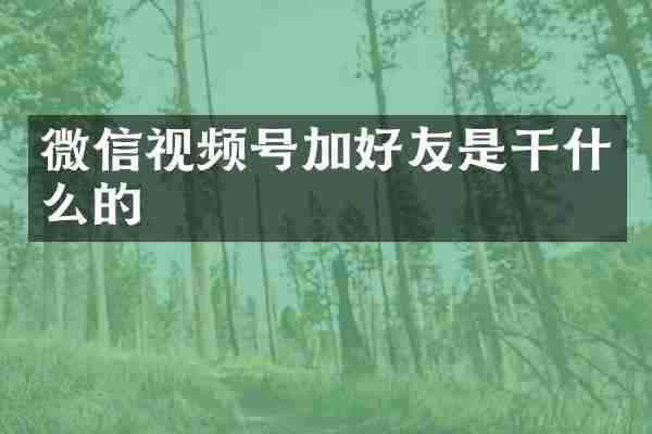 微信视频号加好友是干什么的