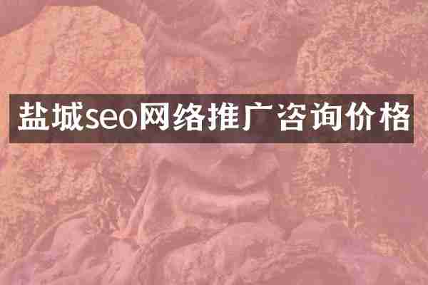 盐城seo网络推广咨询价格