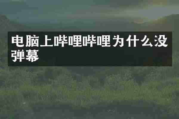 电脑上哔哩哔哩为什么没弹幕