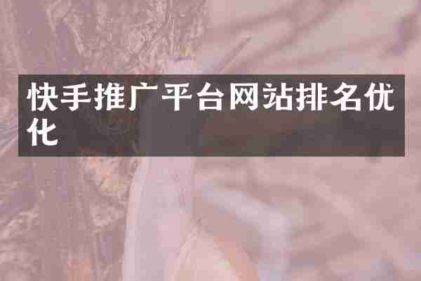 快手推广平台网站排名优化