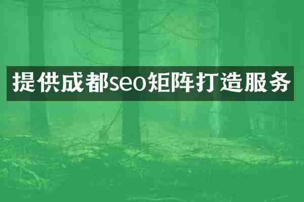提供成都seo矩阵打造服务