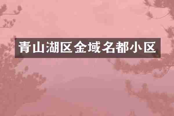 青山湖区金域名都小区