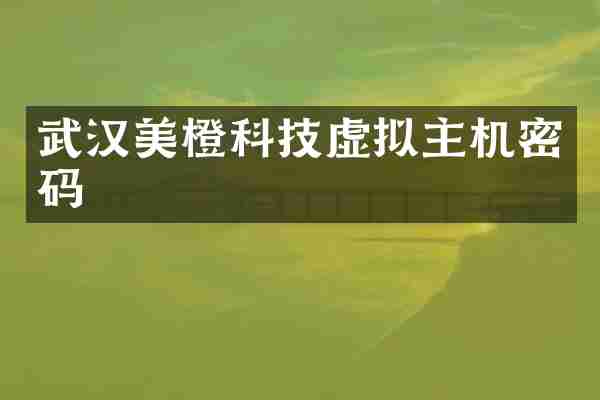 武汉美橙科技虚拟主机密码