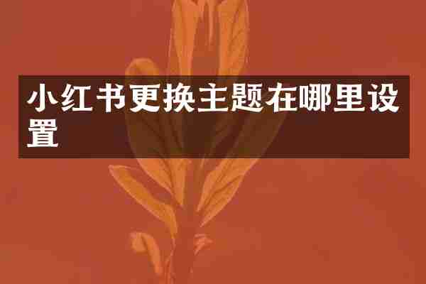 小红书更换主题在哪里设置