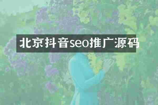 北京抖音seo推广源码