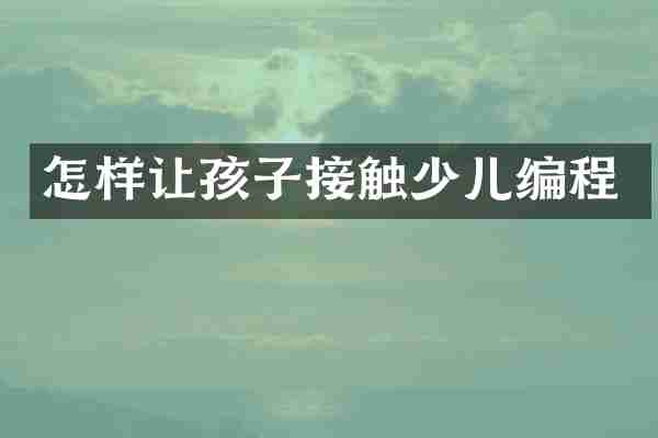 怎样让孩子接触少儿编程