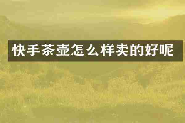 快手茶壶怎么样卖的好呢