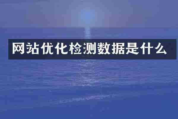网站优化检测数据是什么