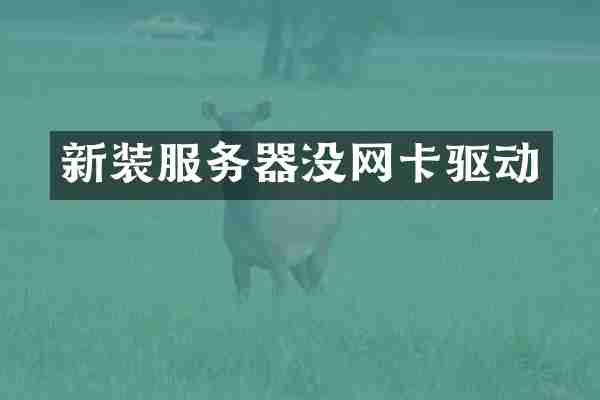 新装服务器没网卡驱动