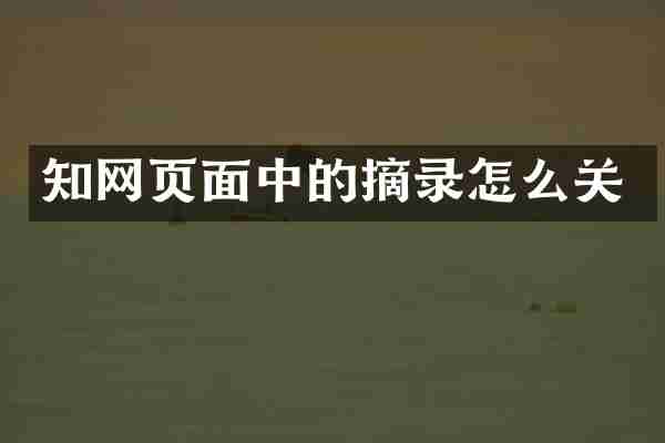 知网页面中的摘录怎么关