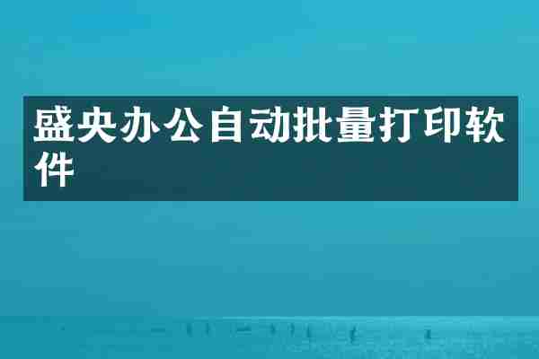 盛央办公自动批量打印软件