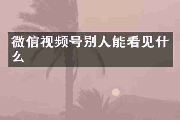 微信视频号别人能看见什么