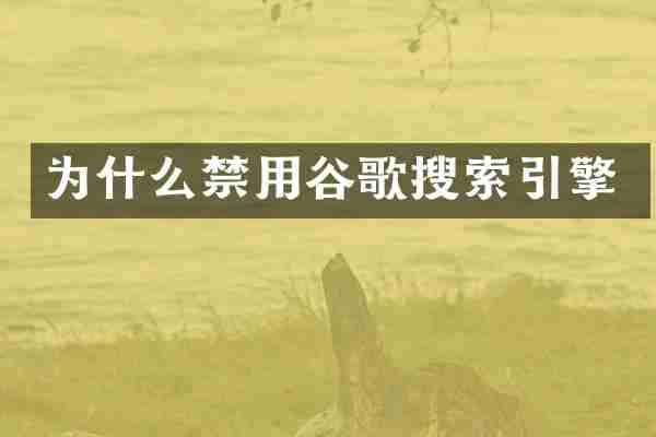 为什么禁用谷歌搜索引擎