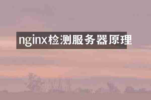 nginx检测服务器原理