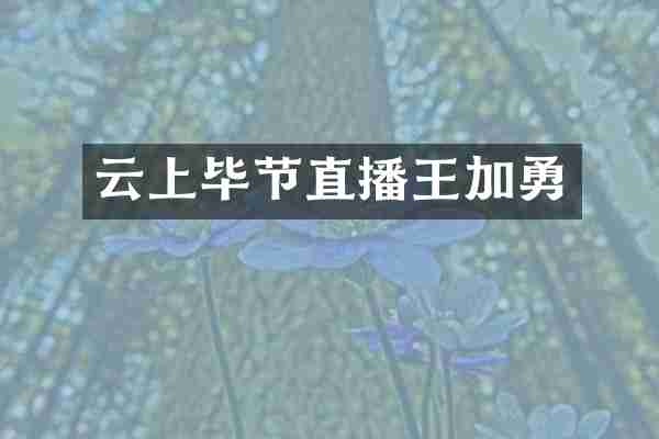 云上毕节直播王加勇