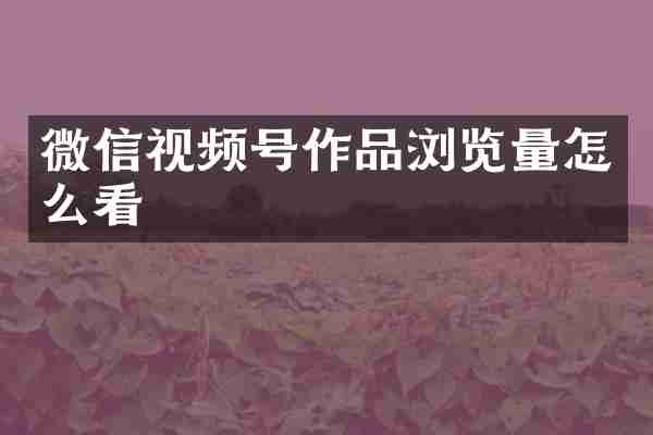 微信视频号作品浏览量怎么看