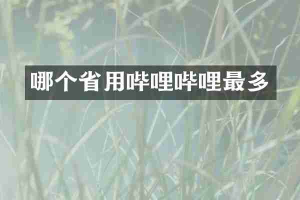 哪个省用哔哩哔哩最多