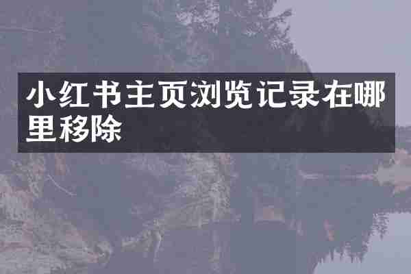 小红书主页浏览记录在哪里移除