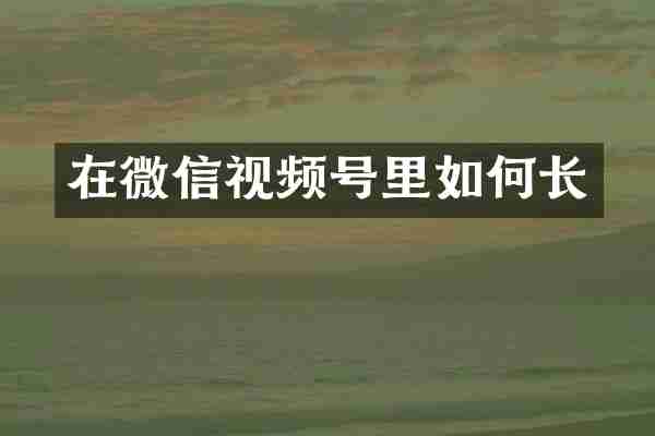 在微信视频号里如何长