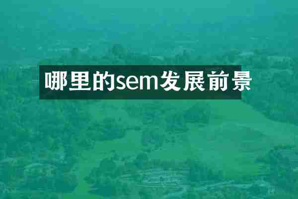 哪里的sem发展前景
