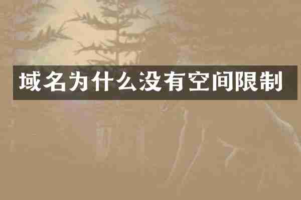 域名为什么没有空间限制