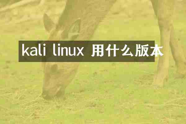 kali linux 用什么版本