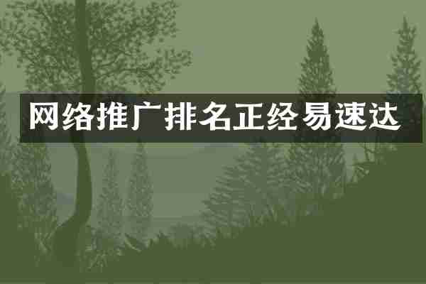 网络推广排名正经易速达