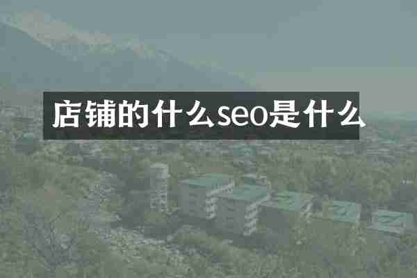店铺的什么seo是什么