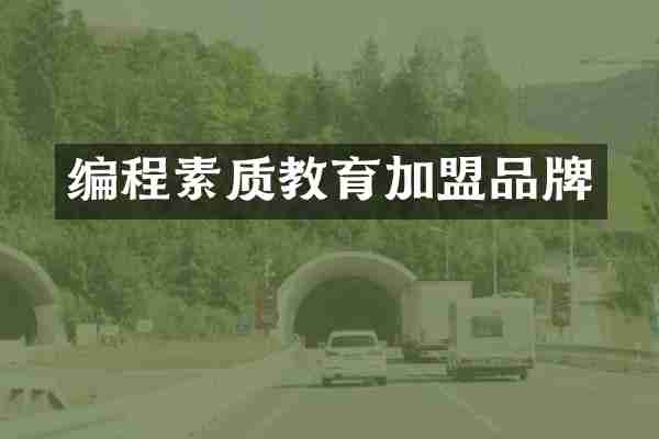 编程素质教育加盟品牌
