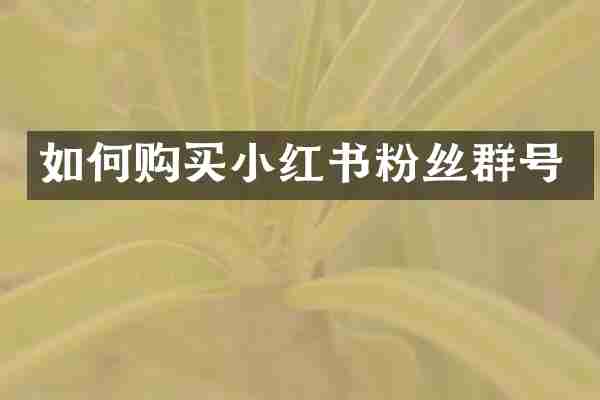 如何购买小红书粉丝群号