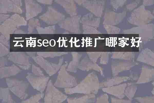 云南seo优化推广哪家好