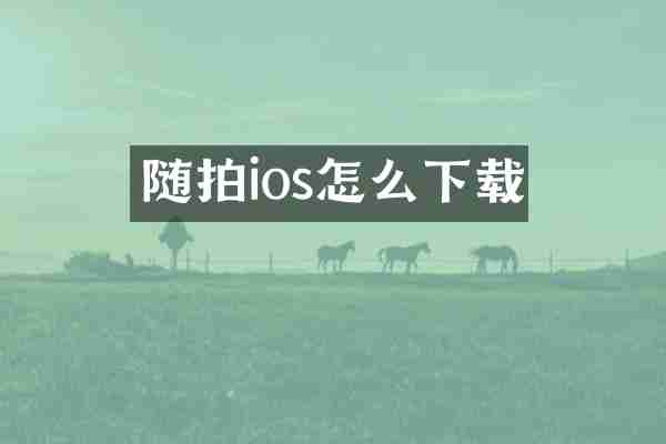 随拍ios怎么下载