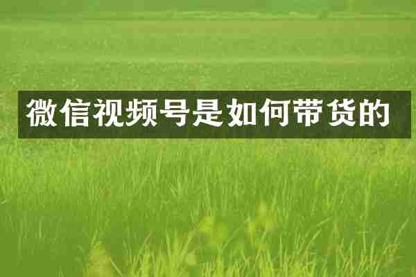 微信视频号是如何带货的