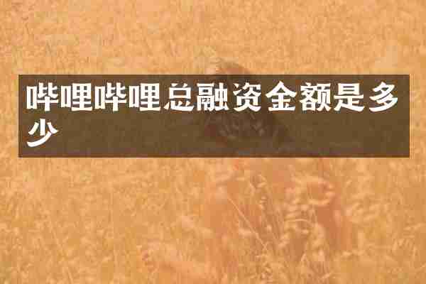 哔哩哔哩总融资金额是多少