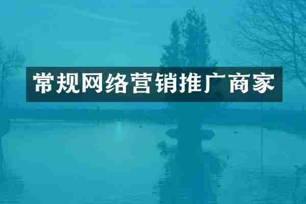 常规网络营销推广商家
