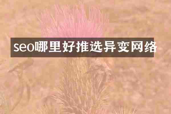 seo哪里好推选异变网络