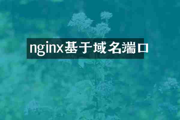 nginx基于域名端口