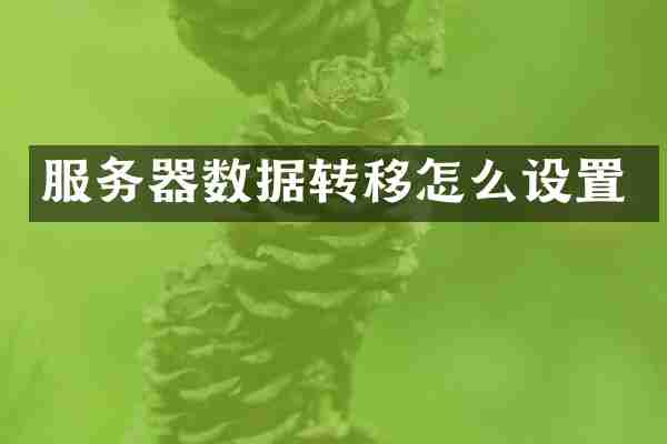 服务器数据转移怎么设置