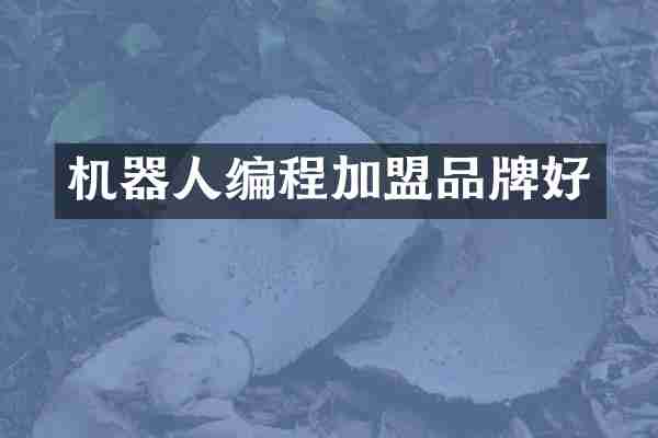 机器人编程加盟品牌好