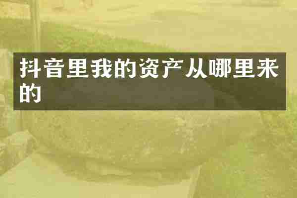 抖音里我的资产从哪里来的