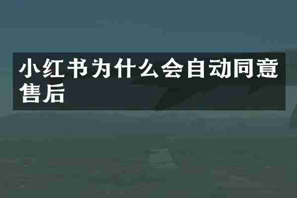 小红书为什么会自动同意售后