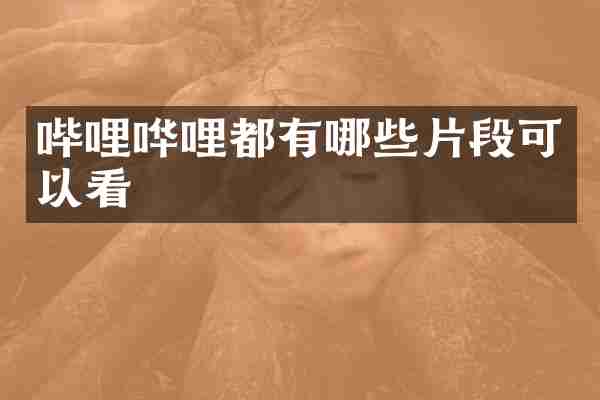 哔哩哗哩都有哪些片段可以看