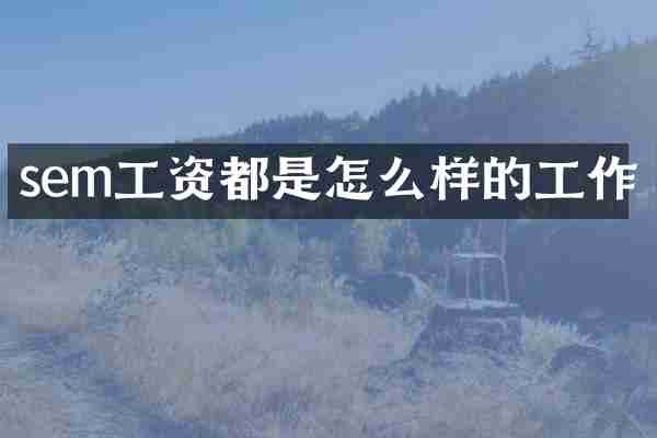 sem工资都是怎么样的工作