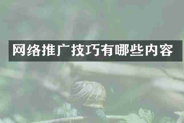 网络推广技巧有哪些内容