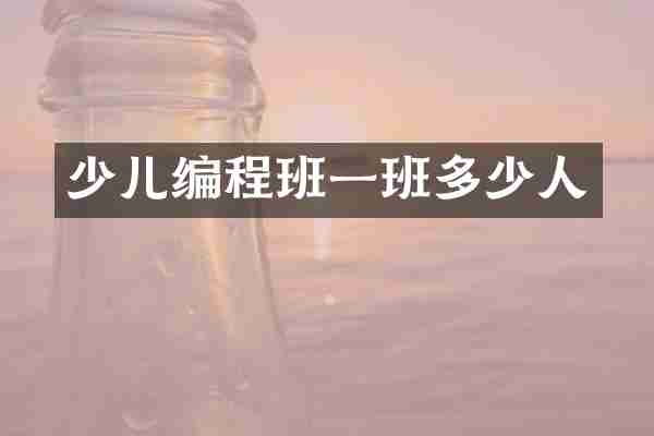 少儿编程班一班多少人