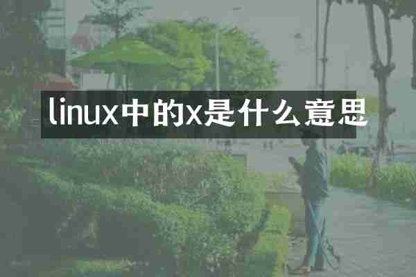 linux中的x是什么意思