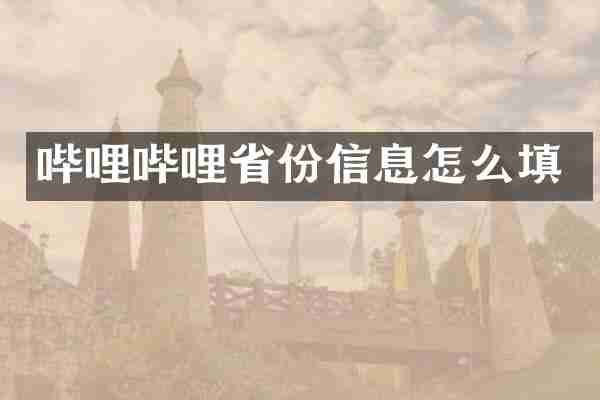 哔哩哔哩省份信息怎么填