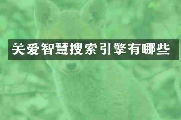 关爱智慧搜索引擎有哪些