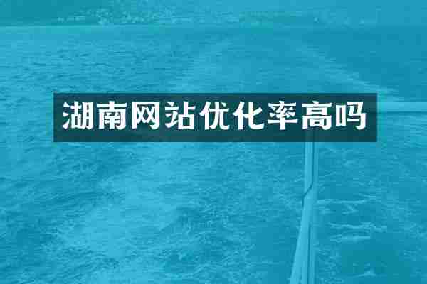 湖南网站优化率高吗